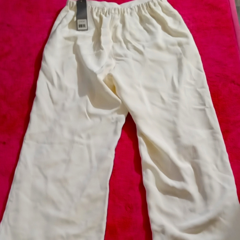 GoSilk pants